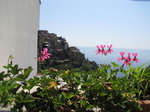 SX19662 Flowers and houses in Corniglia, Cinque Terre, Italy.jpg